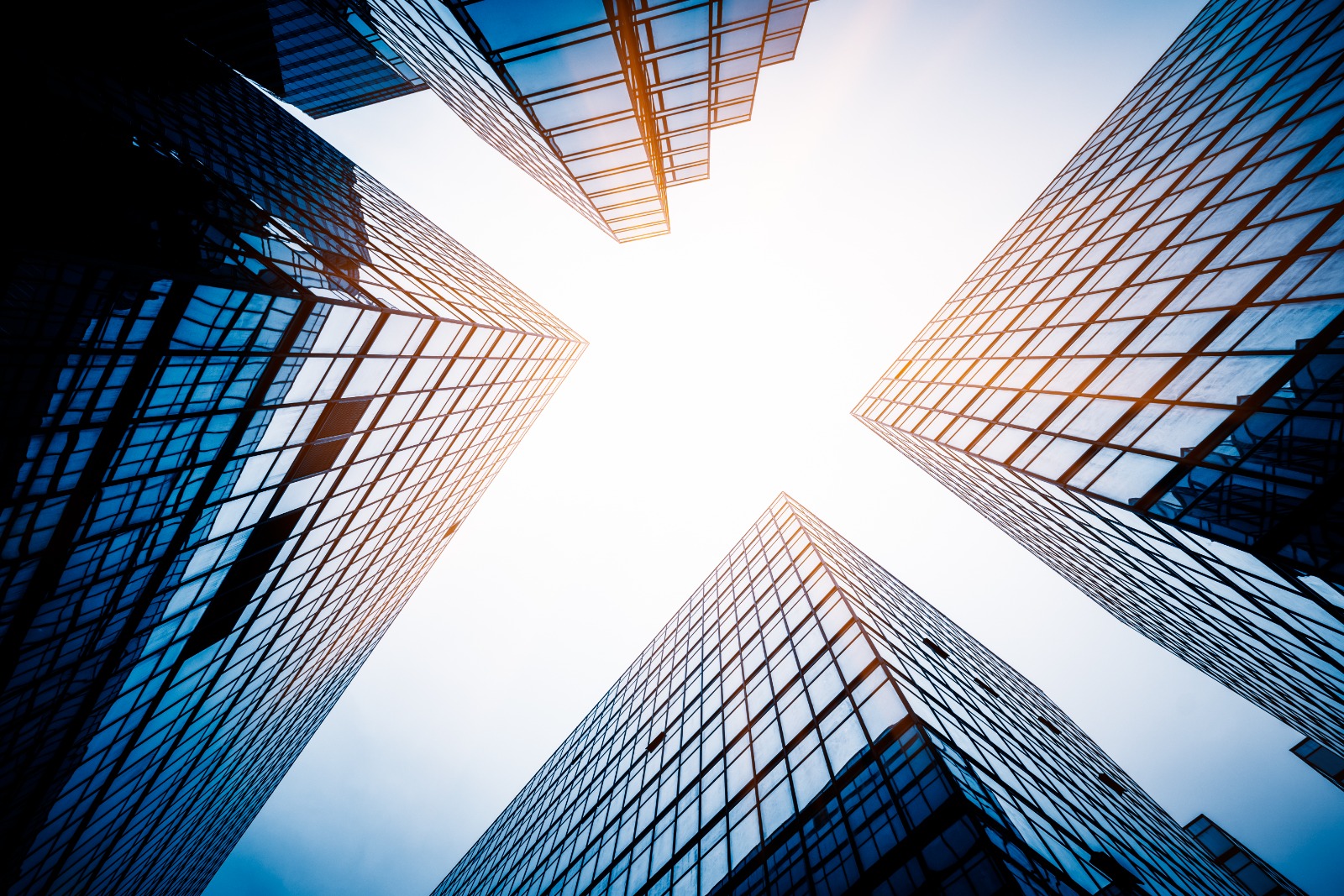 Eduskill Hub Professional